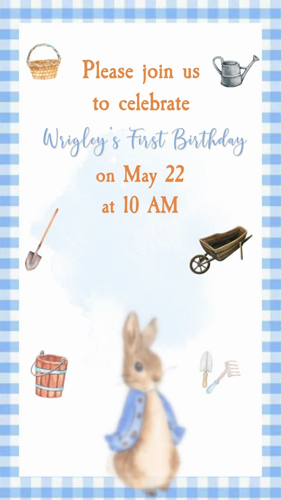 Peter Rabbit Boy Birthday Video Invitation - Peter Rabbit Boy Theme Birthday Party Invite | Canva Template | Instant Download (Copy)